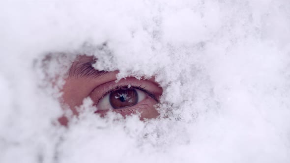 Closeup of the Brown Eye Is Opened Among the Snow Powdered with Snow