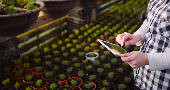 Gardener Using Digital Tablet in Greenhouse