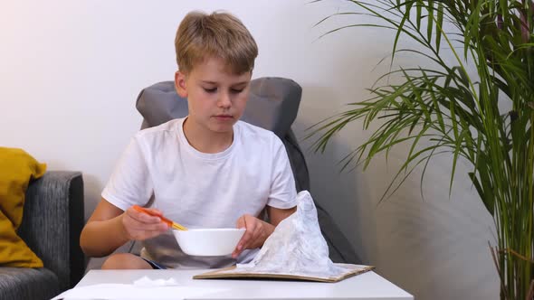 Schoolboy Makes Creative Project in Form of Papier Mache Mountain