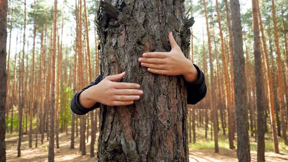 Video of Young Woman Hugging and Soothing Big Tree in Forest. Concept of People Loving and