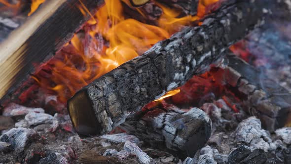 Close Up Picture of Wood Burning in a Camp Fire