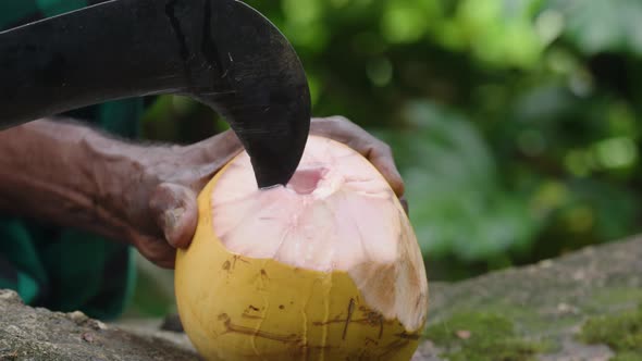 Cutting a King Coconut