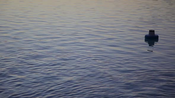 Buoy bobbing on surface of water