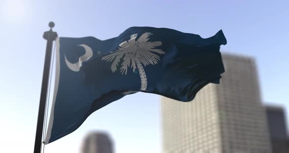 South Carolina state flag waving