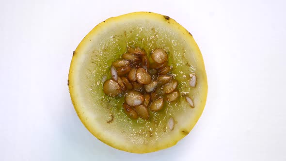 Detailed Analysis of Chili Pepper Seeds alt