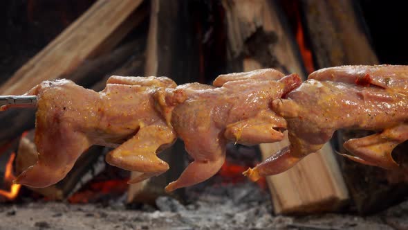 Raw Marinated Quail on the Skewer Are Placed Above the Open Fire