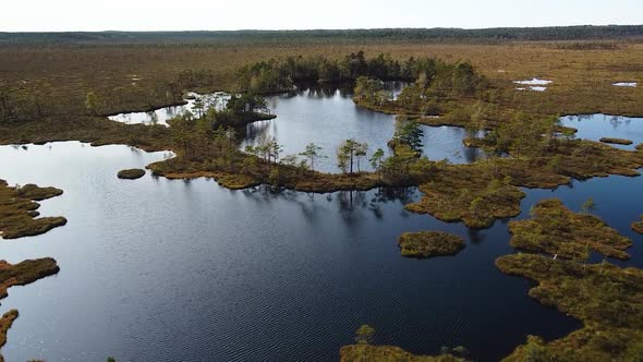 Aerial birdseye view of Dunika peat bog (mire) with small ponds in sunny autumn day, wide high altit