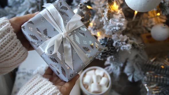 Giving Presents at Christmas, Celebration, Winter Holiday Season Concept