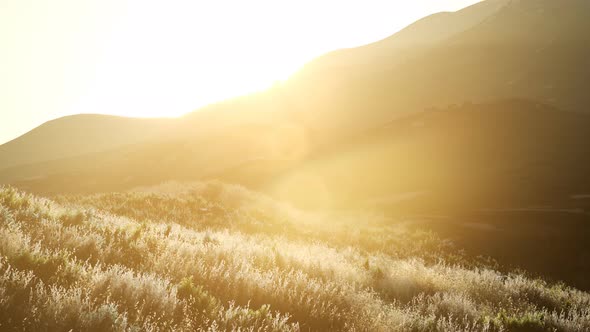 Sunset Over the Valley Fields