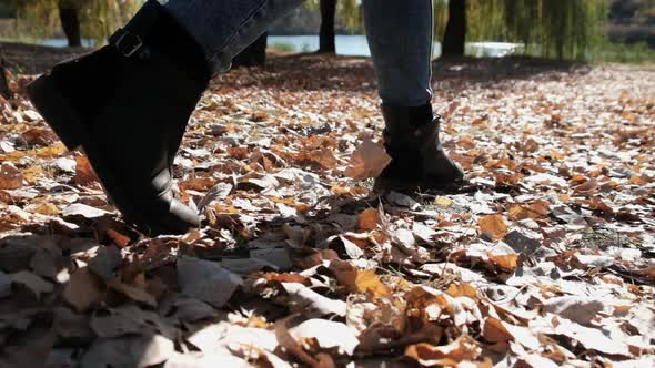 Female Legs Walking on Fallen Autumn Leaves in the Park in Slow Motion