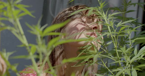 Hippie Girl Sniffing Cannabis Leaves Sun Rubs Nose Against Trunk Enjoying Smell