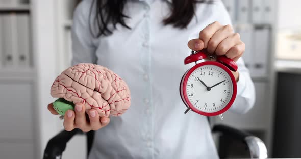 Woman Holds Mock Up of Human Brain and Alarm Clock