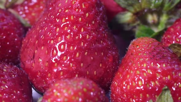 Red Background of Ripe Red Strawberries