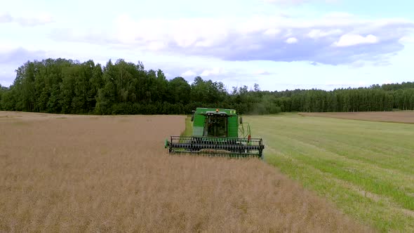 The Green Combine Moves on the Field and Cuts the Grain