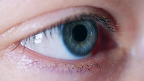 Blinking Blue Eye Filmed in a Close Up