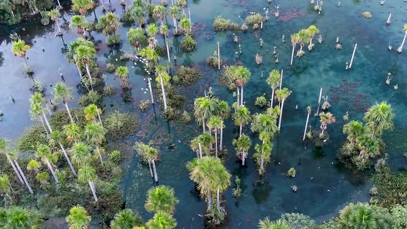 Panning wide of Macaws Lake tourism landmark at Nobres Mato Grosso Brazil.