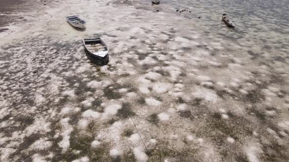 Zanzibar Tanzania  Low Tide in the Ocean Near the Shore