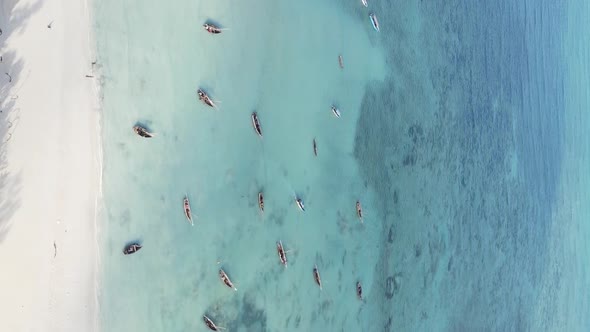 Zanzibar Tanzania  Vertical Video of the Ocean Near the Coast Slow Motion