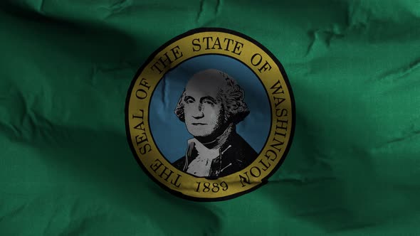 Washington State Flag 4K