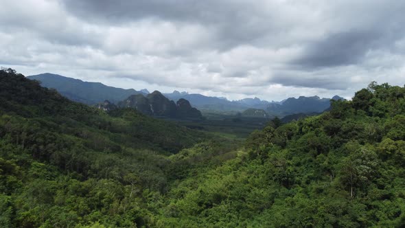 Khao Sok Rainforest