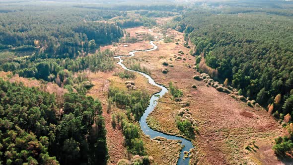 Winding river and brown swamps, aerial view of Poland