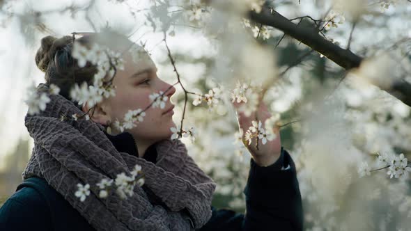 a Beautiful Girl Stands Near a Blossoming Cherry and Looks at the Flowers