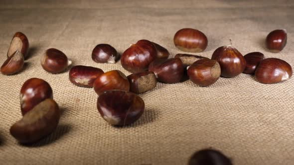 Chestnuts falling on jute canvas background.