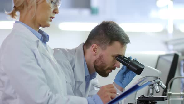 Two Researchers Working Together in Laboratory alt