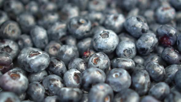 A Lot of Blueberries on the Market Close-up. The Camera Moves. Slow Motion.