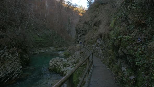 A man on a wooden path by a river