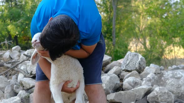 Man Kissing Lamb