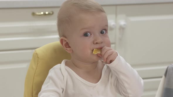 Baby Boy with Citrus Fruit Sitting on High Chair for Babies Oneyearold Baby Boy Eating Tangerine