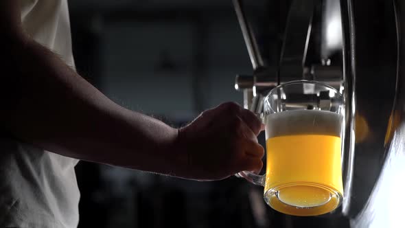 Below Shot of a Brewery Worker Pouring Freshly-crafted Beed in a Glass To Test the Quality