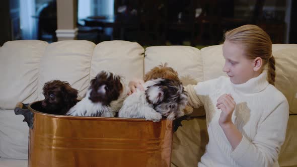 A Girl Holds Two Cute Puppies on Her Lap Sits on the Couch in the Living Room