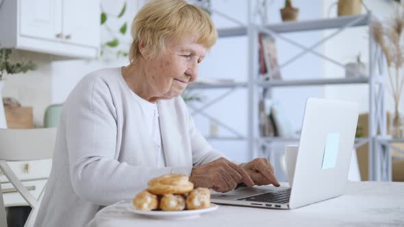 Happy Motivated Grandmother Using Laptop