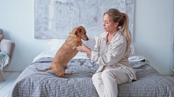 Blonde Woman Caucasian Ethnicity Plays with Her Small Brown Dog Dachshund Homely Cozy Bedroom in