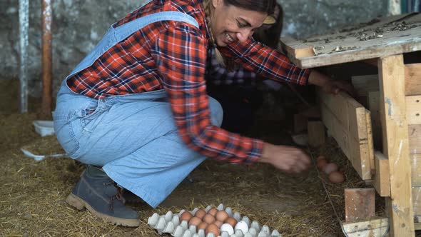 Farmers picking up fresh eggs in henhouse garden - Farm people lifestyle concept