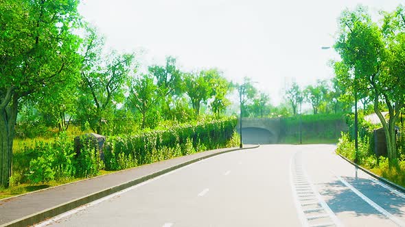 View of Empty Road with Lamp Post and Sunlight