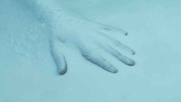 Hand Covered In Snow Frozen Dead Person