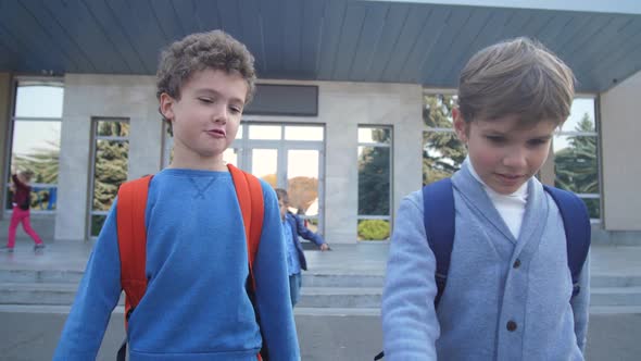 Cute Schoolboys Talking While Walking From School