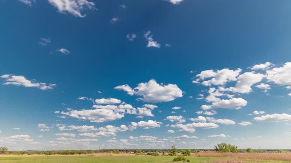 Green Field and Blue Sky with White Cloud Timelapse