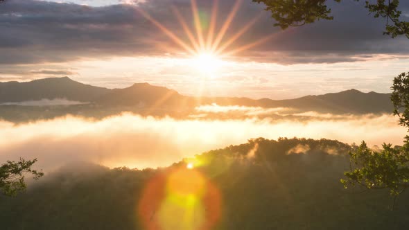 Beautiful of morning scenery Golden light sunrise.
