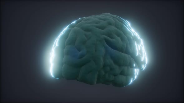 Loop Rotating Human Brain Animation alt