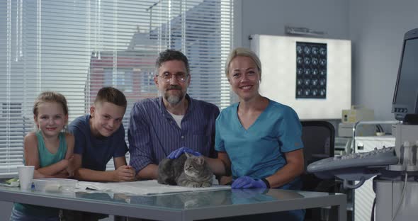 Female Veterinarian Fondling Cat