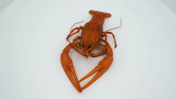 Red boiled crayfish