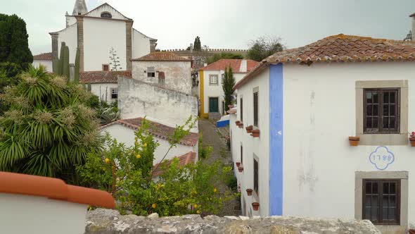 Beautiful Lemon Tree Growing in Alley of Castle of Óbidos