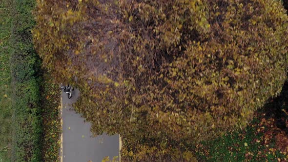 Aerial view Child riding bicycle in autumn park.  Bicycle ride on urban bicycle lane