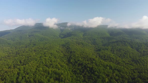 Mountains in the Greenery View From the Air