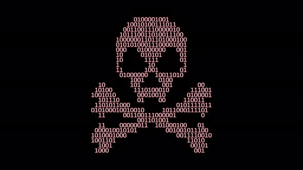 Malware Code Skull and Crossbones