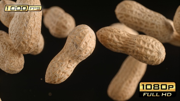 Flying Peanuts in Shells